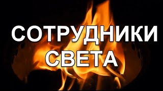 О сотрудниках света. (Элизабет Хэйч)