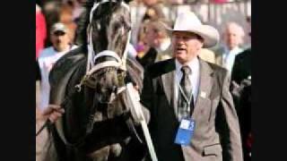 A Tribute to Our Beloved fallen racehorses Prt.1