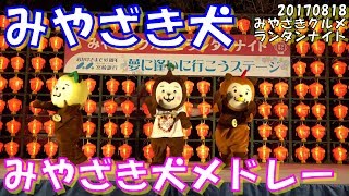 [ みやざき犬 ] 20170818_『みやざき犬メドレーVol.2』_みやざきグルメランタンナイト