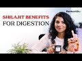 Shilajit digestion will change your life | BetterAlt Pure Shilajit