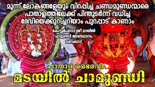 മടയിൽ ചാമുണ്ഡിയെക്കുറിച്ചറിയാം! Madayil Chamundi കോട്ടൂർപറമ്പ് കരിവെള്ളൂർ #theyyam #chamundi #kaali