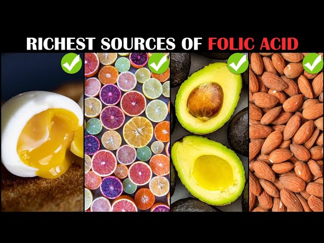 Folic Acid Foods List