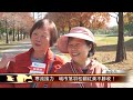 寒流接力 城市落羽松翻紅美不勝收！│t news聯播網