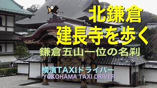 北鎌倉建長寺を歩く　鎌倉五山筆頭　建長寺の境内は広い。途中の塔頭などにも寄りながら最奥にある半僧坊まで歩いて来ました。#神奈川県#鎌倉市#北鎌倉#鎌倉五山#建長寺＃カメラ散歩#桜吹雪