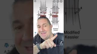 How do leeches help reattach amputated fingers?