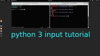 Python 3 input tutorial in Linux