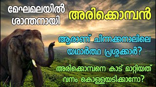 ശാന്തനായി അരിക്കൊമ്പൻ | Arikomban | Arikkomban | Arikomban latest News | #arikomban