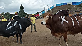 Iong I BAHDENG 🆚 Saw Palud MAWNGAP (pat u Iong I )