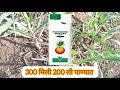 ऊस पिकात भरघोस फुटवे वाढवण्यासाठी पहिली फवारणी l 6ba ga 12 61 00 व seaweed l 75 ते 100 टन ऊस