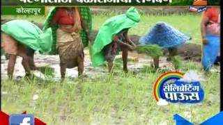 Kolhapur : Farmers Start Farming As Monsoon Arrives