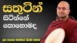 සතුටින් සිටින්නේ කොහොමද විශේෂ ධර්ම දේශනාව | ශාස්ත්‍රපති පූජ්‍ය වටගොඩ මග්ගවිහාරී ස්වාමින්වහන්සේ | IIT