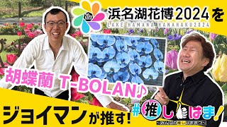 【ジョイマンが浜名湖花博2024を推す！】#推しはま！～みんなの推しはままつ～（令和6年5月～）