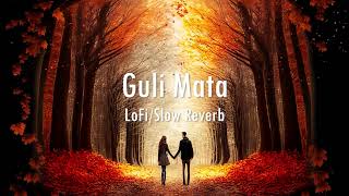 Guli Mata | Lo-fi / Slow Reverb @anukriti @SaadLamjarred @ShreyaGhoshalOfficial #lofi #slowreverb