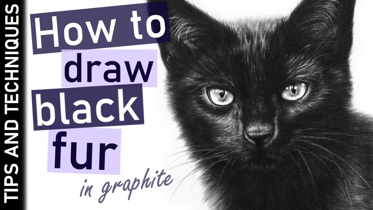 How To Draw Black Fur In Graphite | Drawing A Black Cat | Tips & Tools ...