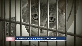 CONTACT 13: When pets become pawns in domestic violence cases