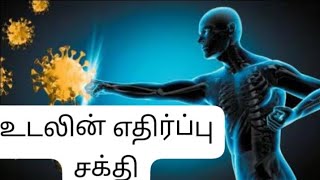 குளிர்காலத்தில்  நமக்கு தேவையான எதிர்ப்பு சக்தி மற்றும் வளர்ச்சிதை மாற்றத்தை ஊக்குவிக்கும் உணவு