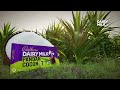 Cadbury Dairy Milk Pandan Coconut与您一起庆祝大马的独特风味