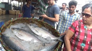 Indian Ilish Fish Lover | 2 Kg Size Big Hilsa Fish Digha Mohana | Best Tasty Fish India