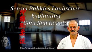 Sensei Bakkies Laubscher Explaining Goju Ryu Karate