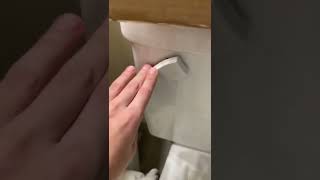 Flushing a sprite can down the toilet