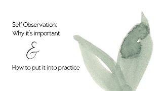 Self-Observation: Why it's important and how to put it into practice
