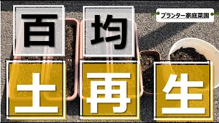 【土(つち)の再生】家庭菜園完全初心者が培養土の再生に挑戦してみた。