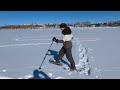 lacombe moves winter snowshoeing around our community