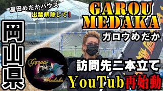 メダカ屋YouTuber再始動！動画二本立て！岡山県Garou medaka～ガロウめだか～訪問/出禁を解いてください！星田めだかへ