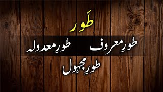 Taur E Fail Ki Qismein In Urdu |Taur | Taur E Maroof, Majhool, Madoola | طور معروف مجہول معدولہ