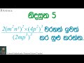 mathematics grade 9 දර්ශක 2