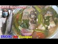 How to cook Sinigang na Tanigue | Sinigang Recipe | Spanish Mackerel recipe | my specialty recipe