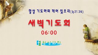 [복 주시는 하나님] 25/01/23/06:00 | 평택왕성교회 | 한반석 목사 ||