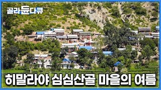 히말라야의 수 많은 오지 마을 중에서도, 유독 들어가기가 어려웠던 곳┃자연말고는 아무것도 없는 곳에서 여름을 나는 법┃세계테마기행┃히말라야┃#골라듄다큐