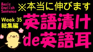 [英語耳養成講座] 毎日の基礎英語リスニング BES- Basic English Sentence- 週末No.35  [TOEIC・英検対策]