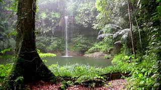 Rainforest Waterfall and Rain Sounds for Sleeping or Studying - White Noise Rainstorm 10 Hours.