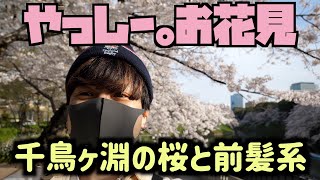 【お花見】千鳥ヶ淵の桜、1人でw ボートに乗って見上げます！