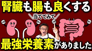 腎臓病予防＆腸内環境改善に最適な○○の効果を医師が解説！杉岡愛ようのオススメサプリも紹介