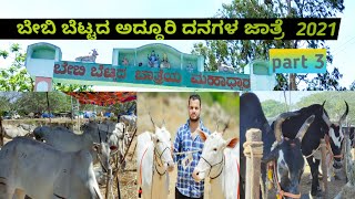 Baby Betta Cattle Fair 2021 Jatre | ಬೇಬಿ ಬೆಟ್ಟದ ಅದ್ದೂರಿ ದನಗಳ ಜಾತ್ರೆ part 3 | Hallikar Bulls | MANDYA