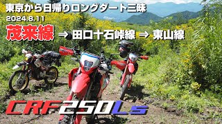 【CRF250L】信州佐久のロングダート日帰り縦走【林道茂来線編】