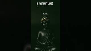 Buddha quotes in English | Buddha quotes on life | Buddhism quotes #buddha #buddhaquotes #quotes