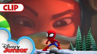 Itsy-Bitsy Spiders | Marvel’s Spidey and his Amazing Friends | @disneyjunior