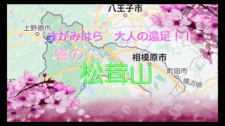 相模原の自然探訪~春の松茸山～