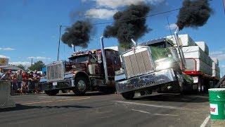 Драг рейсинг на грузовиках  Trucks Drag Racing