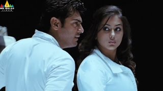 Ajith Billa Movie Scenes | Ajith Namitha & Nayantara Fight | Telugu Movie Scenes | Sri Balaji Video