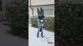 fursuiting in the snow! #fursuit #furries #fursuithead #furry #fursona #dinomask #shorts #fyp #viral