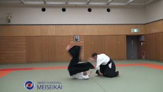 Aikido Katadorimenuchi Kokyonage Shishiya Sensei Tokyo 2015