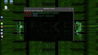 Hello World Shell Script