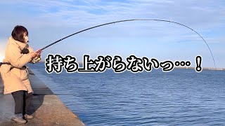A day when we caught an incredible number of big fish and 100cm horse mackerel that were too big ...