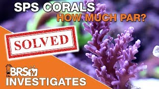 What's the best PAR for SPS corals? | BRStv Investigates