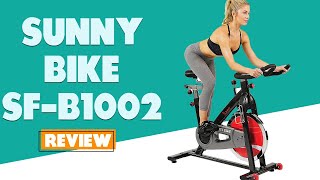 Sunny Bike SF-B1002 Review: A Comprehensive Review (Pros and Cons Discussed)